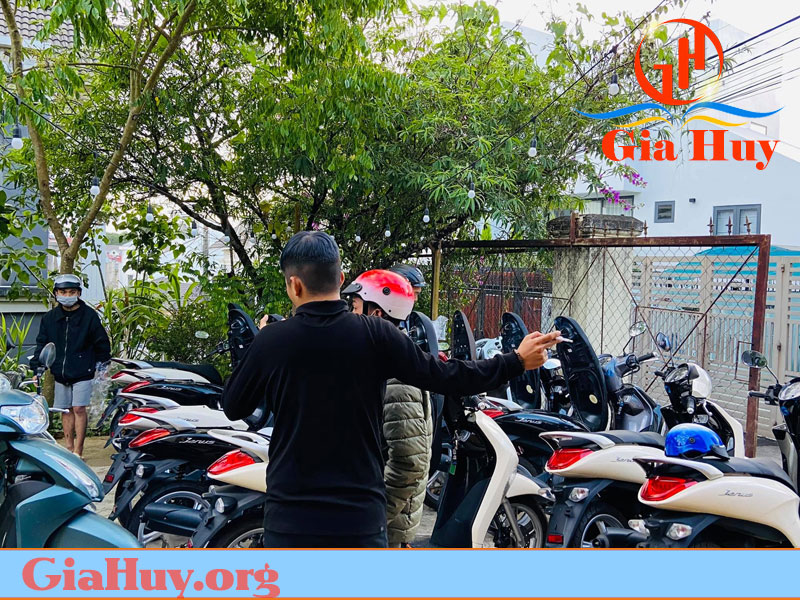 Top 10 cửa hàng cho thuê xe máy uy tín Quy Nhơn Bình Định  VNTESTBANK